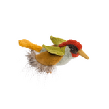 Moulin Roty - Tout Autour du Monde - Green Woodpecker