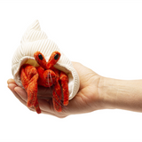 Folkmanis Finger Puppet - Hermit Crab