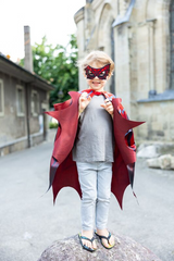 Web Weaver Soft Wings - Size 4-6