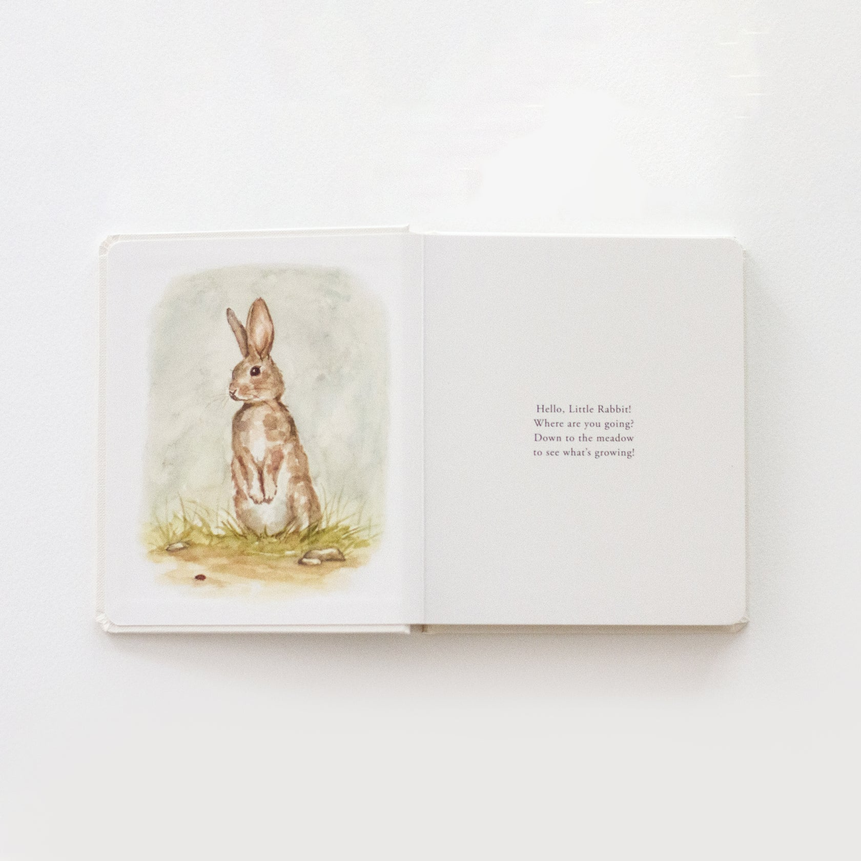 Our Little Adventures Board Book Set - Tabitha Paige