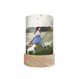 Toverlux - Shades for Lantern set of 5 - Seasonal Stroll