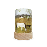 Toverlux - Shades for Lantern set of 5 - Robin Pieterse