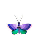 Studio Roof - Blue Copper Butterfly