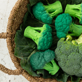 Oli & Carol - Brucy the Broccoli