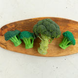 Oli & Carol - Brucy the Broccoli