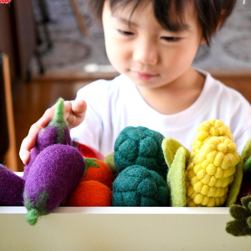 Tara Treasures - Felt Vegetables & Fruit - Set B (11 pc)