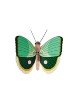 Studio Roof - Fern Striped Butterfly