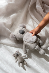 Rattle - Keith Koala