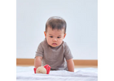 Plan Toys - Bird Roller
