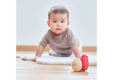 Plan Toys - Bird Roller