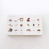 Our Little Adventures Board Book Set - Tabitha Paige