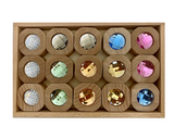 Papoose Bitcoin Blocks - 15Pc Earth
