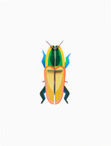 Wall Decor - Madagascar Beetle