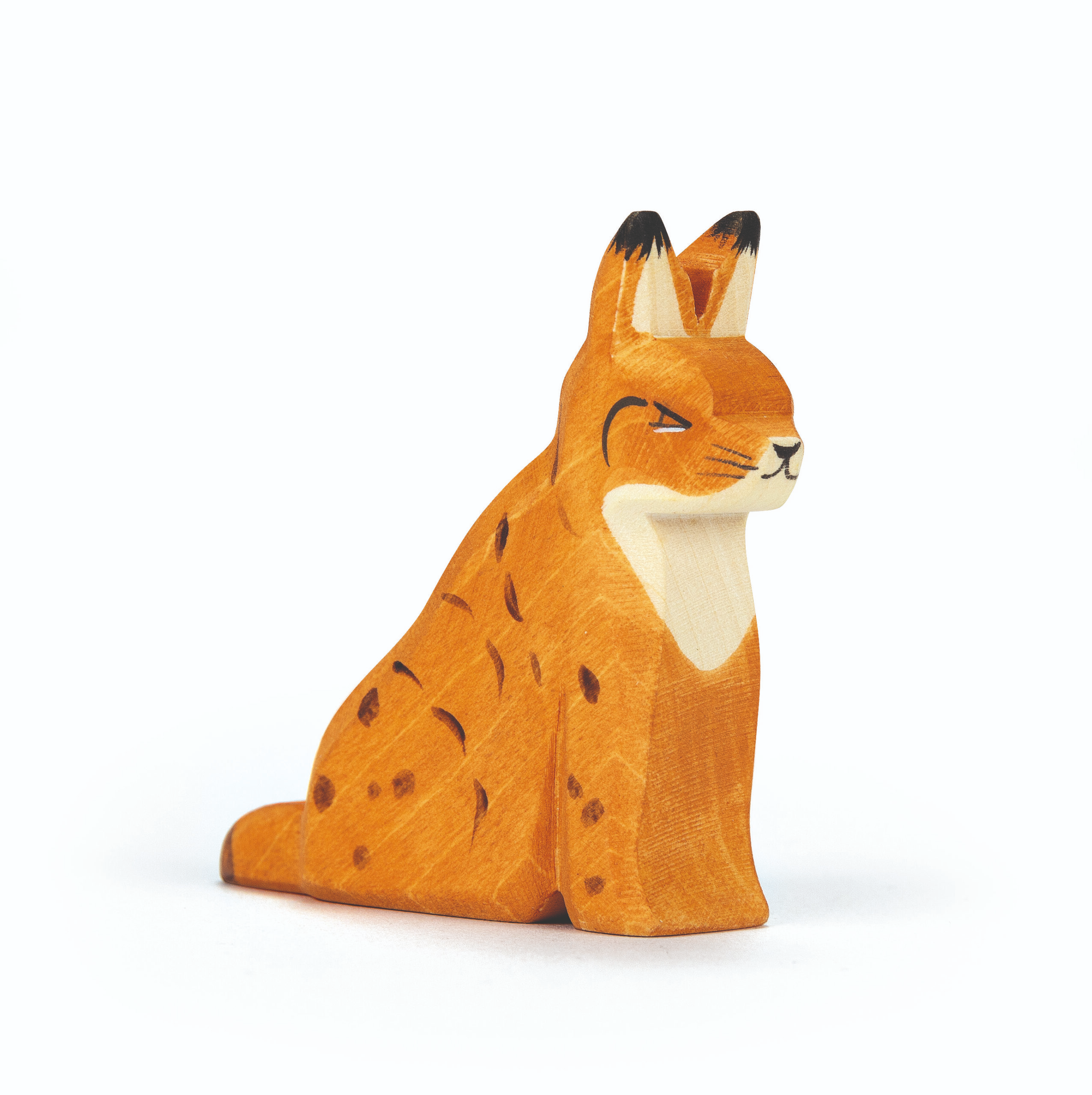Ostheimer - Lynx Sitting