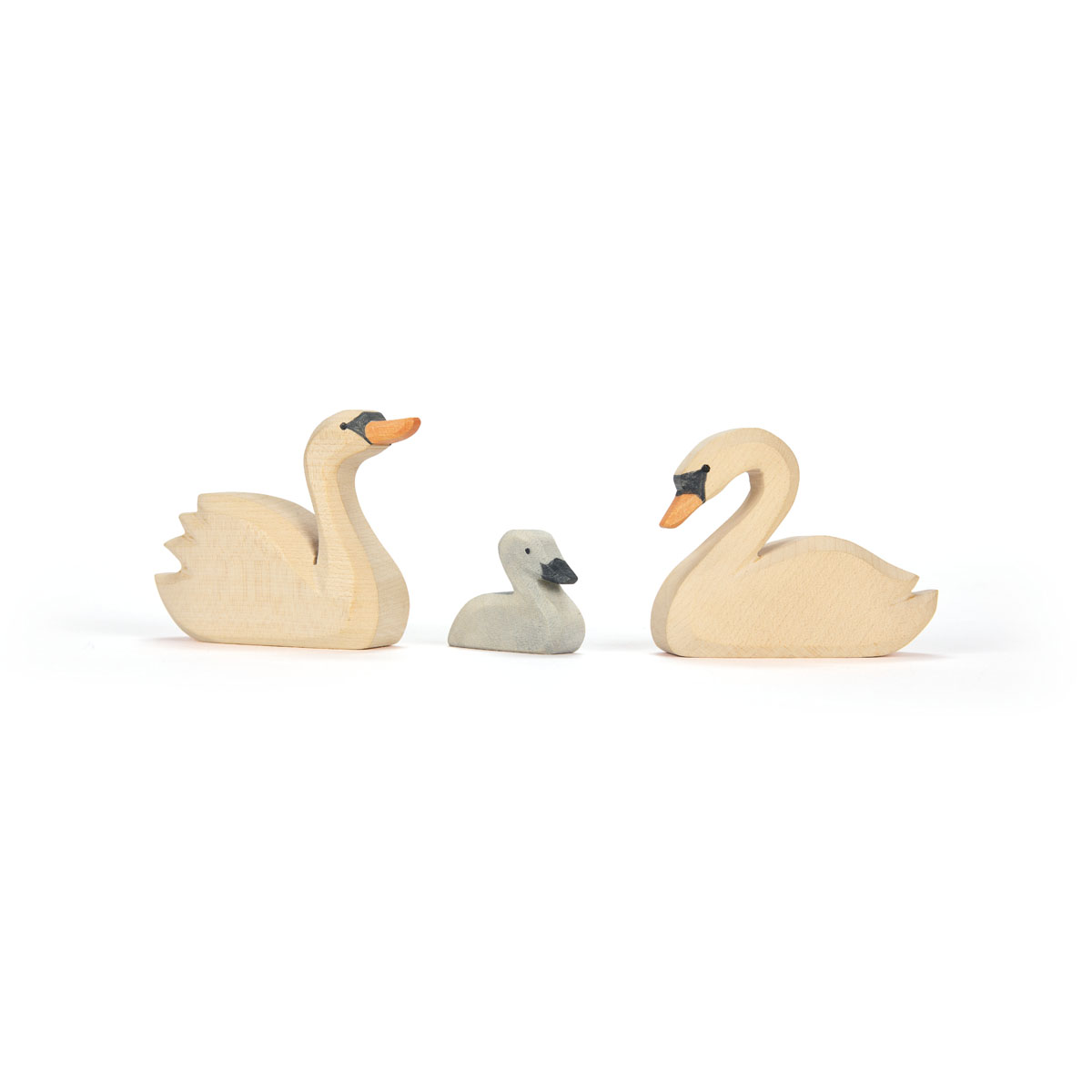 Ostheimer - Swan Little Cygnet 2025