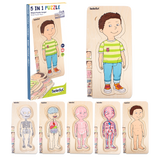 Beleduc 5 in 1 Layer Puzzle - Your Body Boy