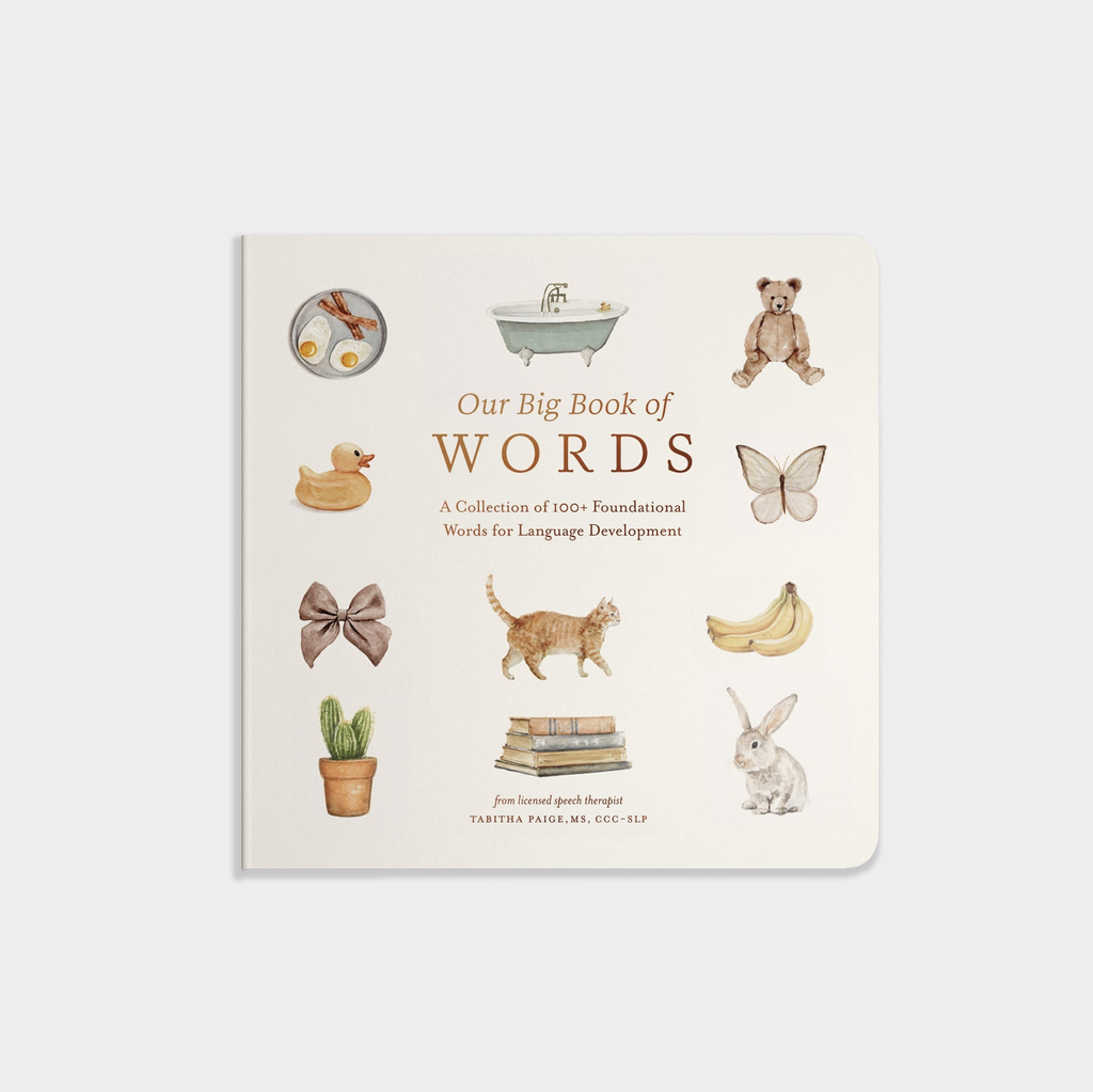 Our Big Book Of Words - Tabitha Paige