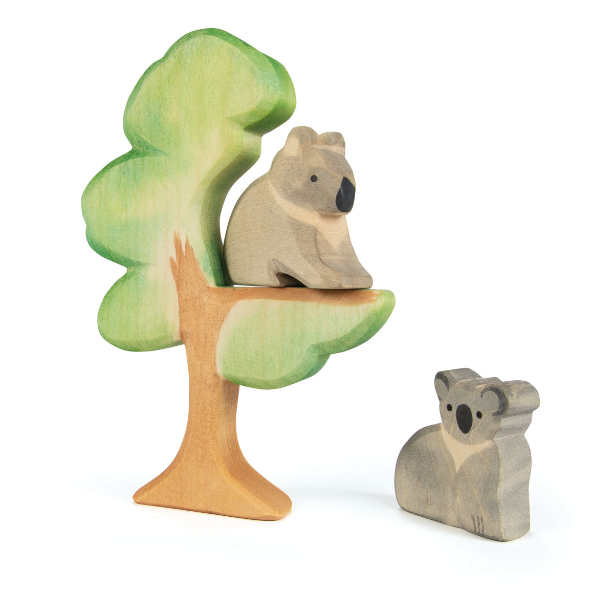 Ostheimer - Koala