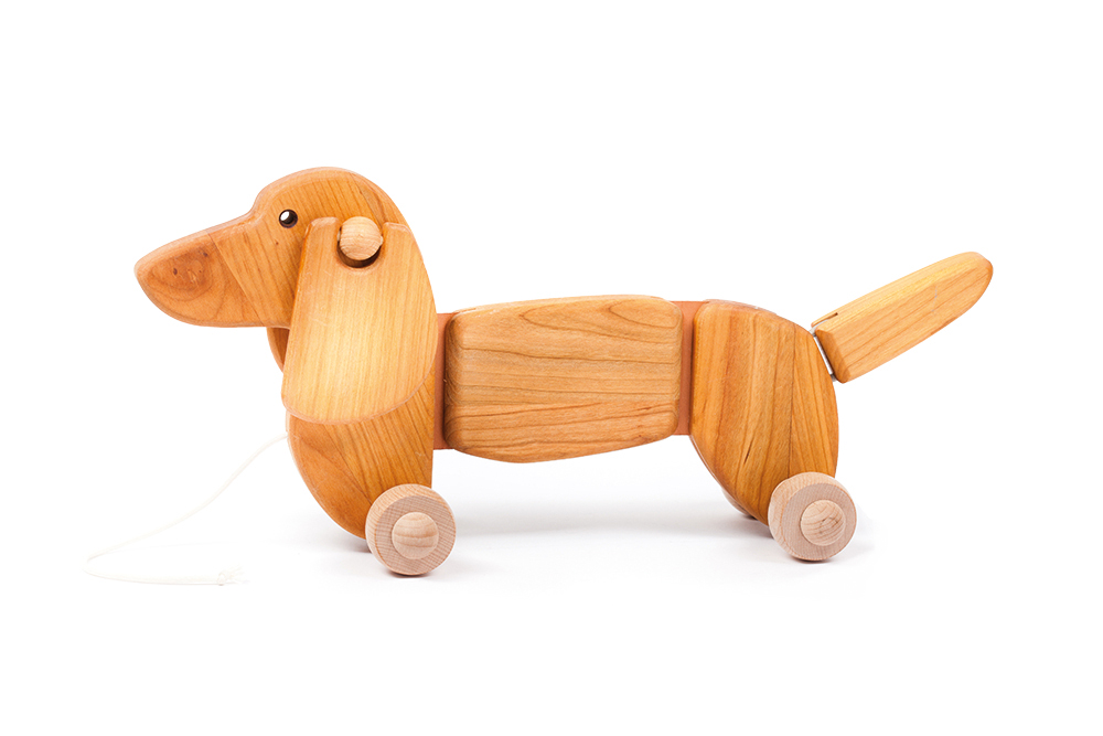 Bajo - Dachshund Natural
