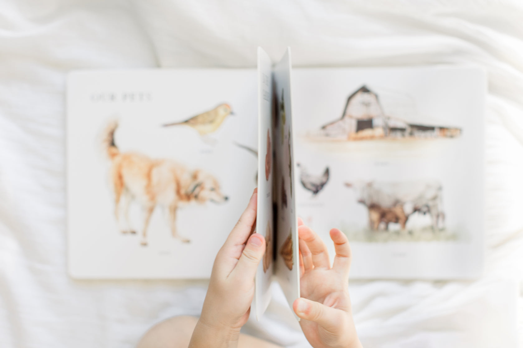 Our Big Book Of Words - Tabitha Paige
