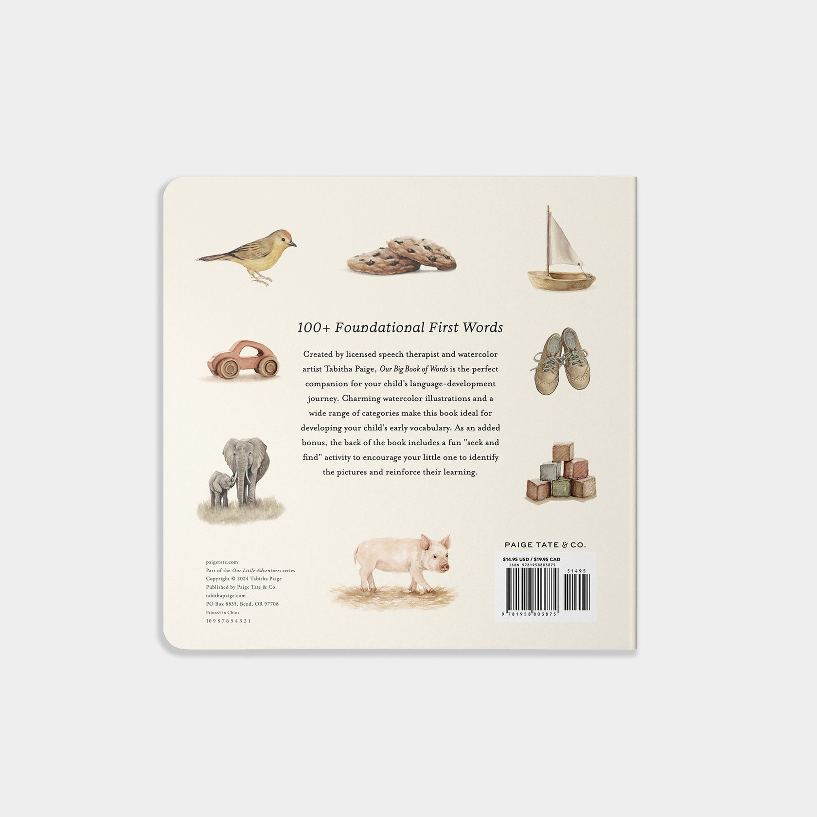 Our Big Book Of Words - Tabitha Paige