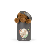 Moulin Roty - Arthur et Louison - Arthur Bear in Gift Box