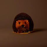Heico - Hedgehog Night Light