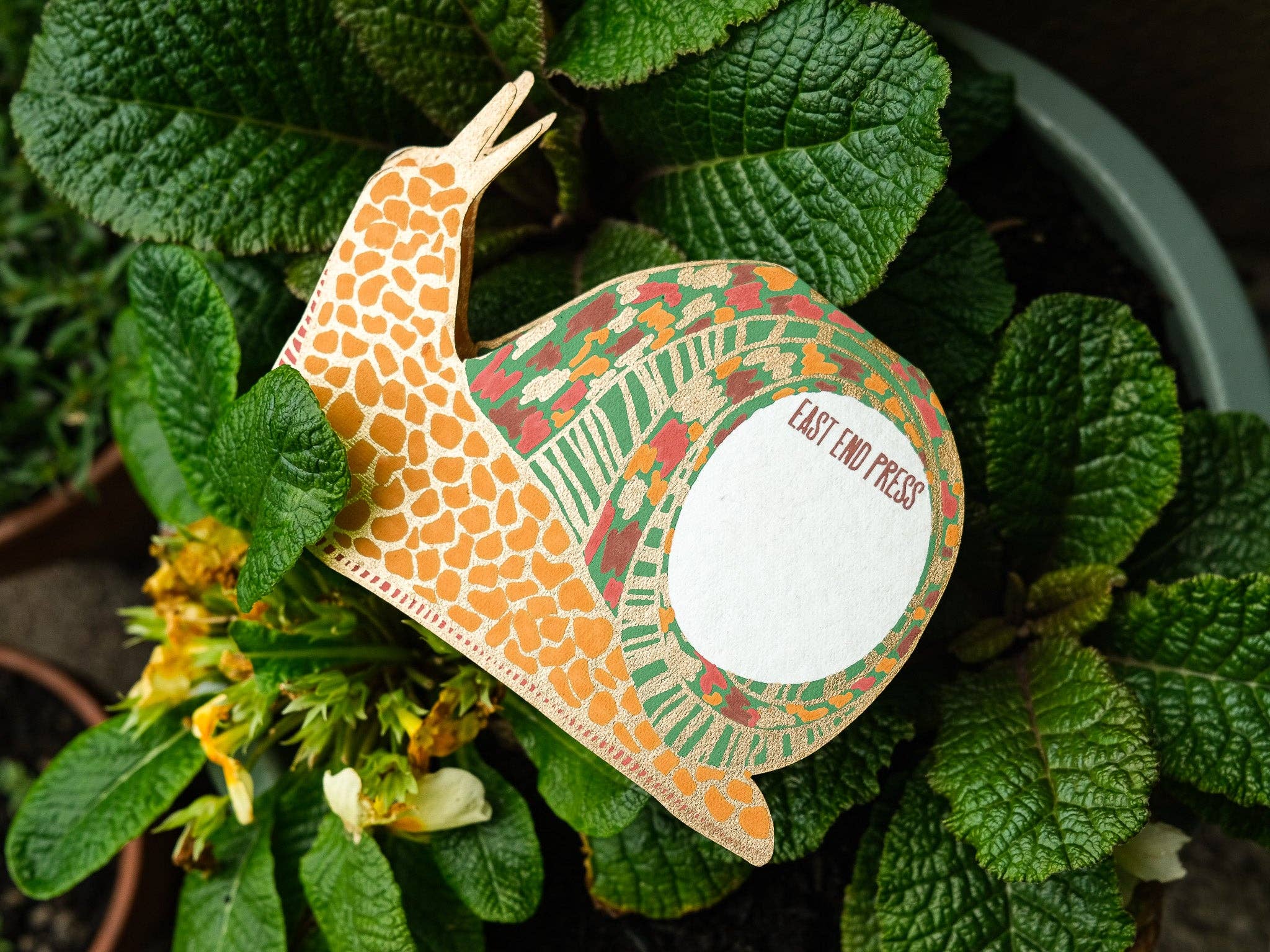 East End Press - Snail Greeting Card