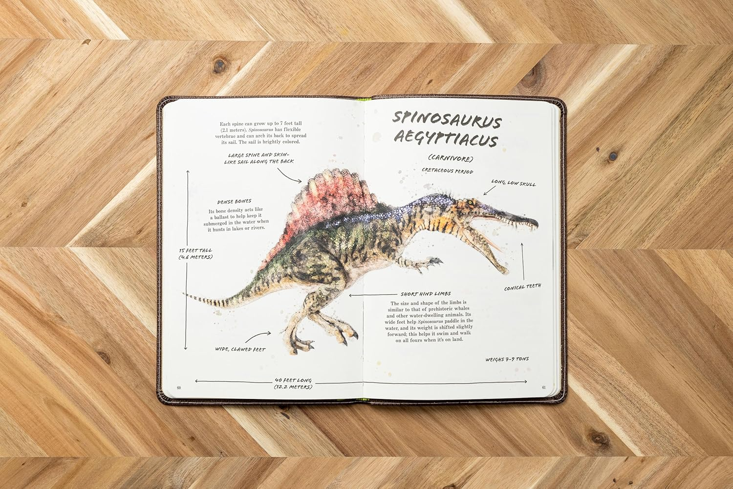 The Ultimate Dinosaur Field Guide