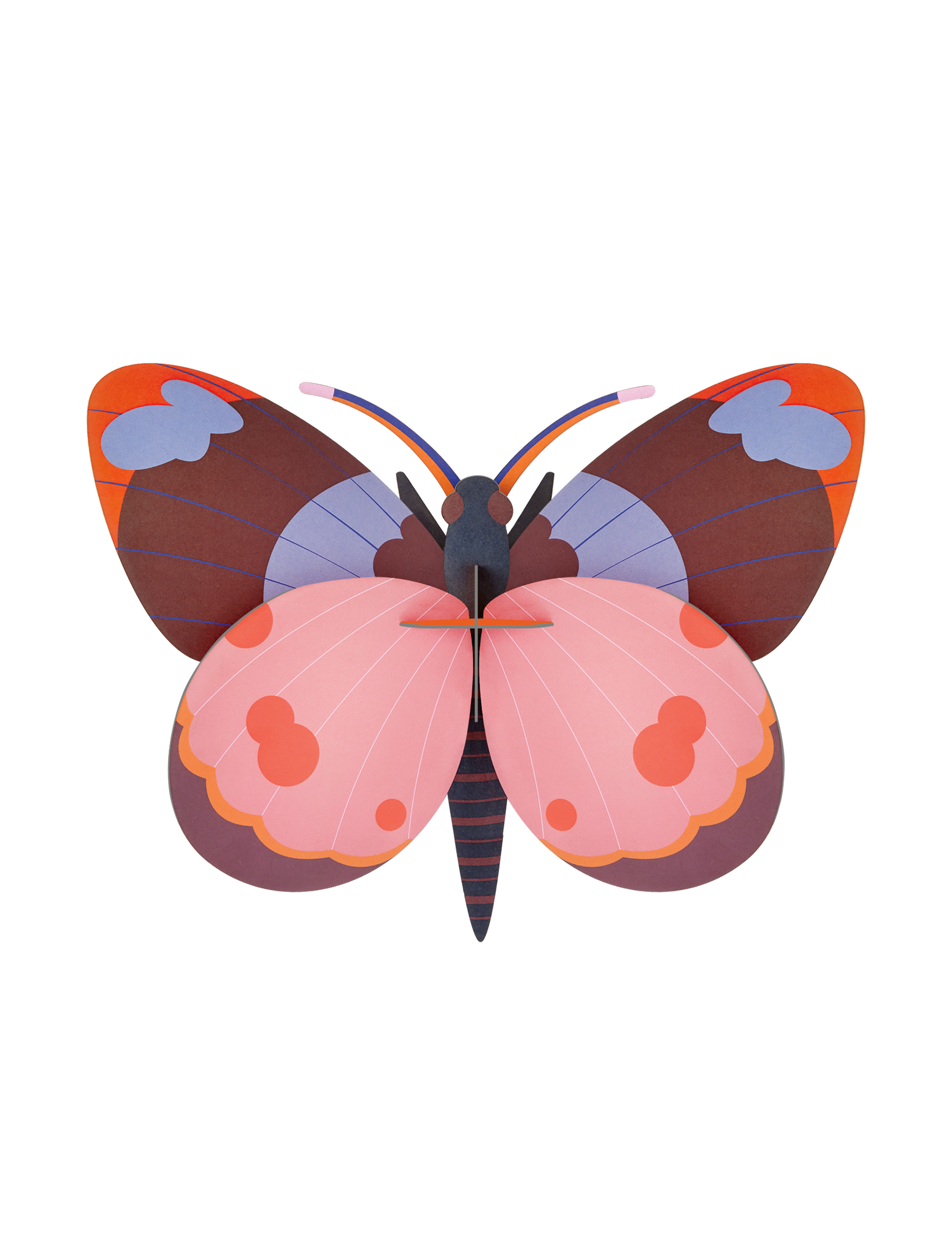 Studio Roof - Wall Art - Bellissima Butterfly