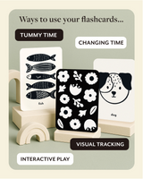 Lauren Sissons Studio - At The Farmers Market High Contrast Flashcards