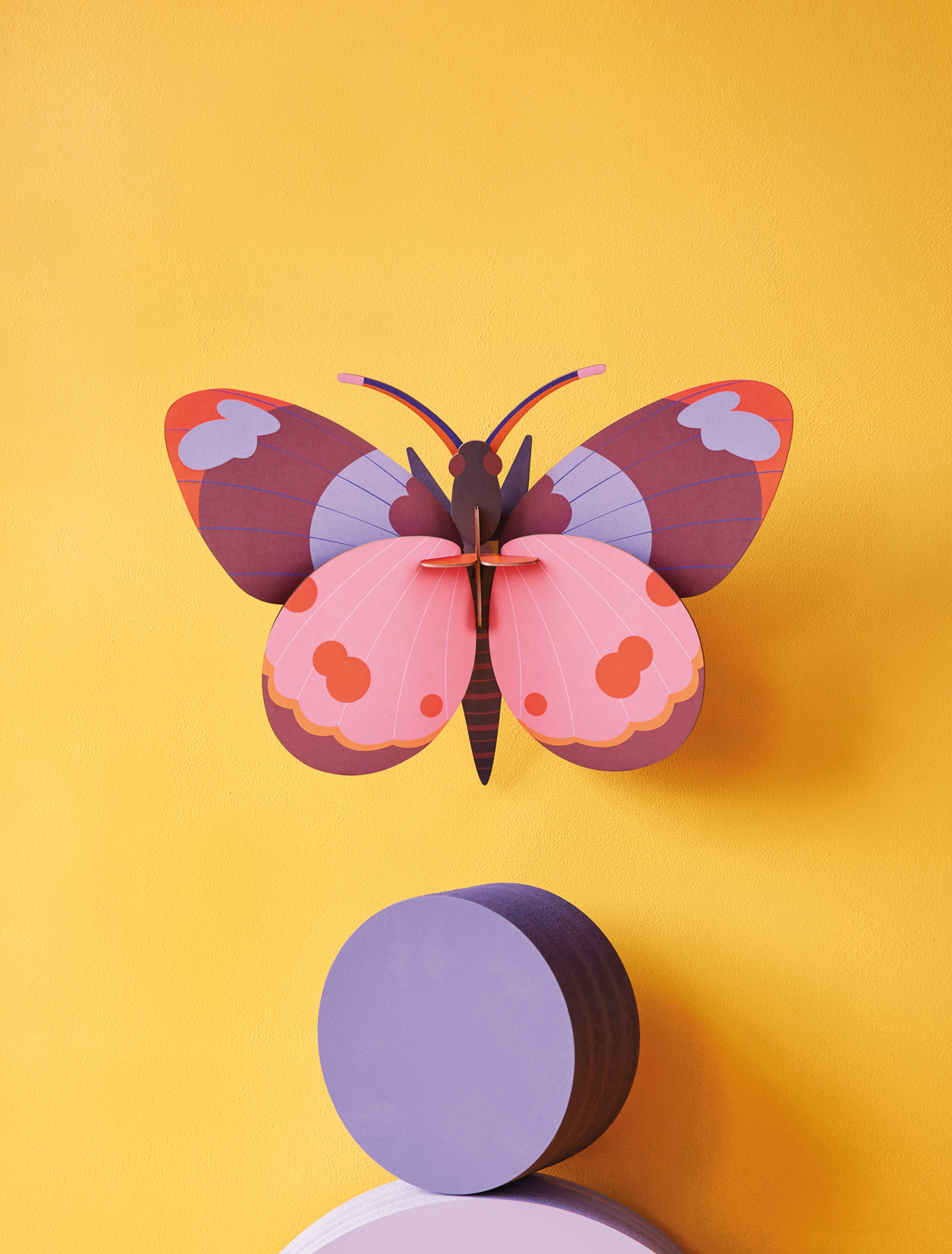 Studio Roof - Wall Art - Bellissima Butterfly