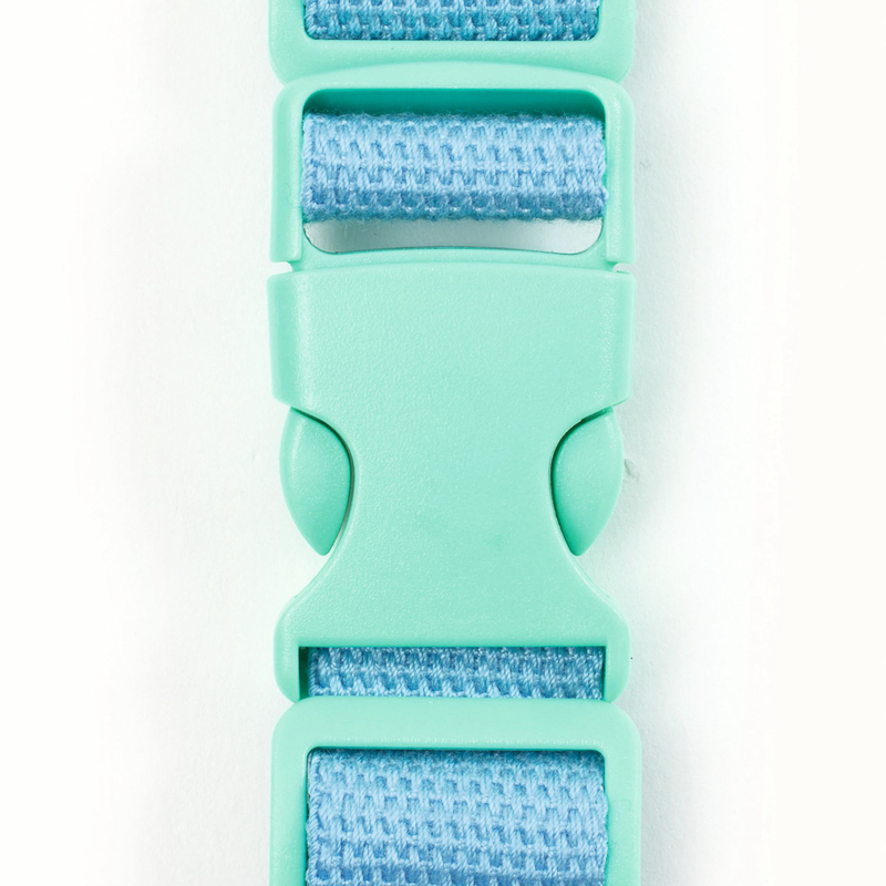 Belt Bag - Fruit