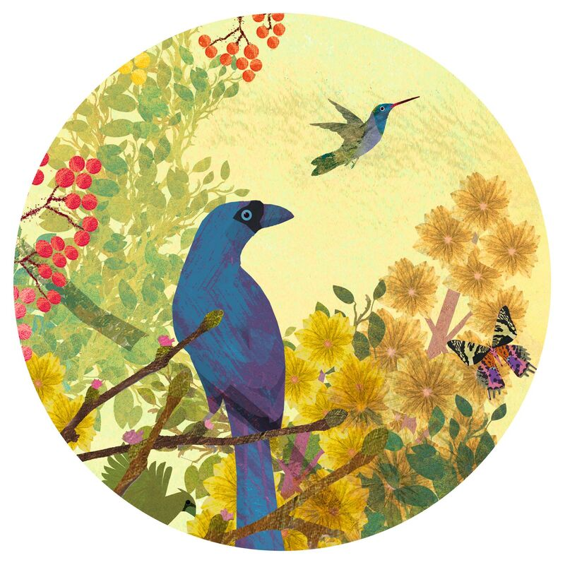 Djeco - Gallery Puzzle 1000pc - Peaceful Birds