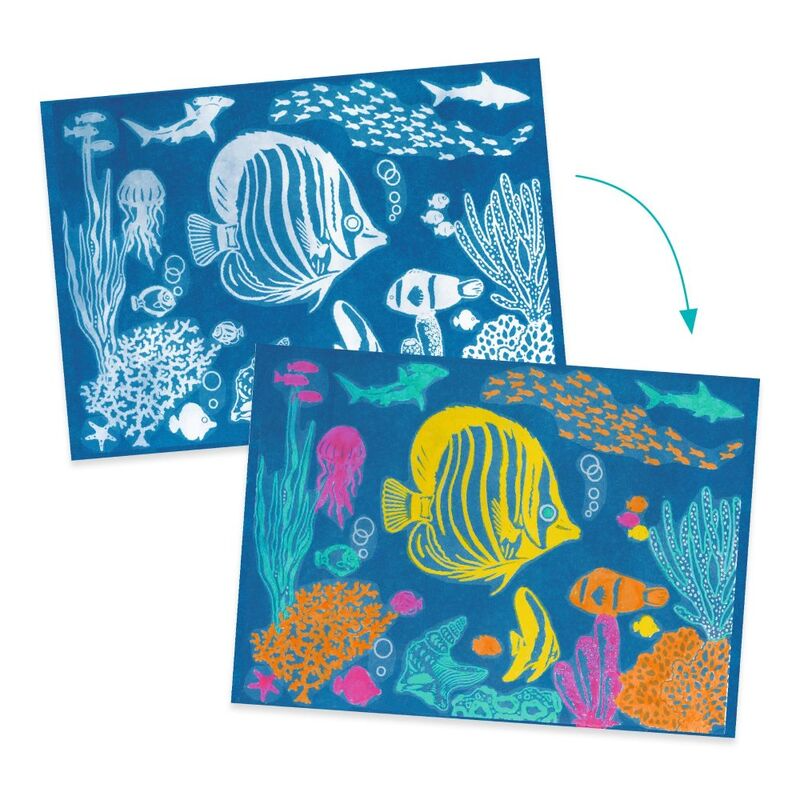 Djeco - Cyanotype Workshop - Ultramarine