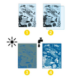 Djeco - Cyanotype Workshop - Ultramarine