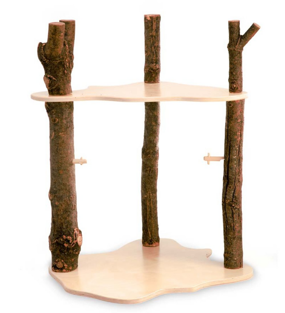 Magic Wood - Fairy Forest Home / Seasonal Stand