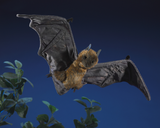 Folkmanis Puppet - Fruit Bat Puppet