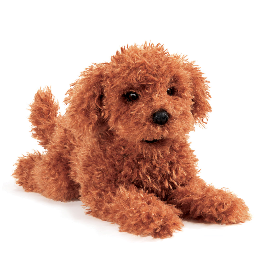 Folkmanis Puppet - Toy Poodle Puppy