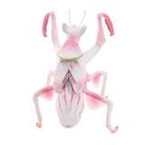 Folkmanis Orchid Mantis Puppet