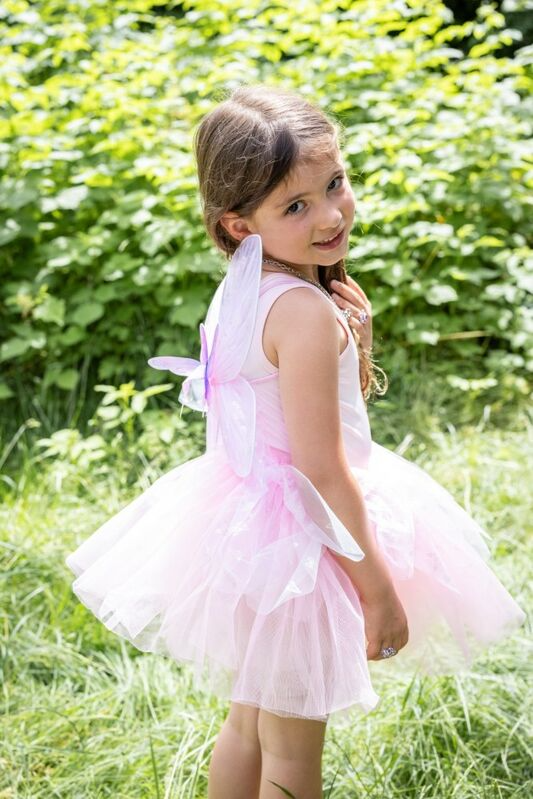 Pink Flutter Butterfly Skirt & Wings  - Size 4 - 6