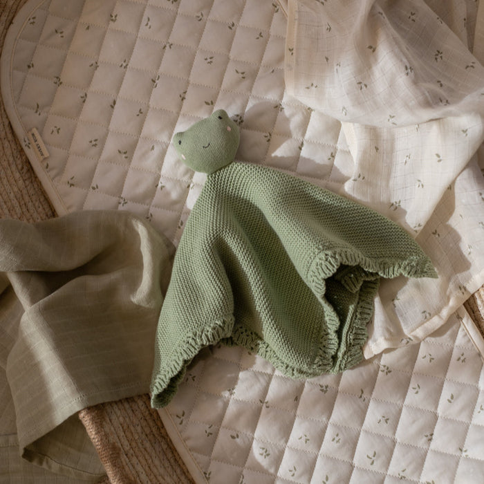 Avery Row - Cuddle Cloth - Frog