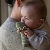 Avery Row - Rattle - Frog