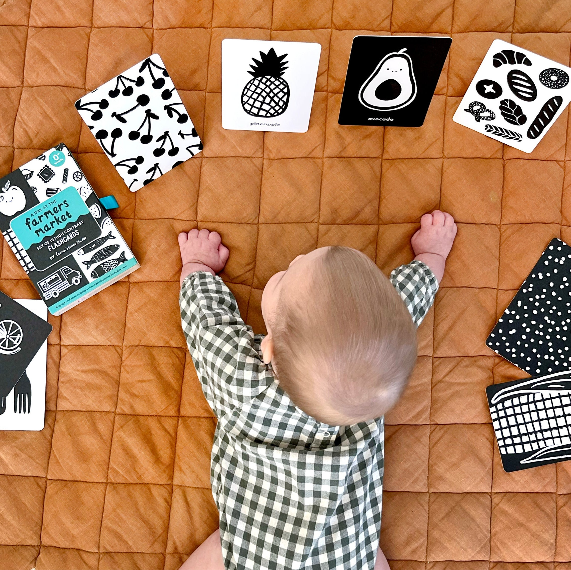 Lauren Sissons Studio - At The Farmers Market High Contrast Flashcards