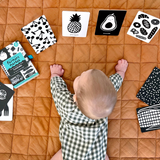 Lauren Sissons Studio - At The Farmers Market High Contrast Flashcards
