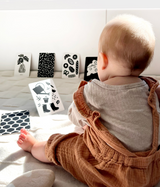 Lauren Sissons Studio - At The Farmers Market High Contrast Flashcards