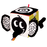 Wimmer Ferguson - Learning Cube