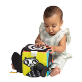 Wimmer Ferguson - Learning Cube