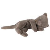 Maileg - Sleeping Kitten Plush Small Grey