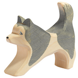 Ostheimer - Sled Dog Running